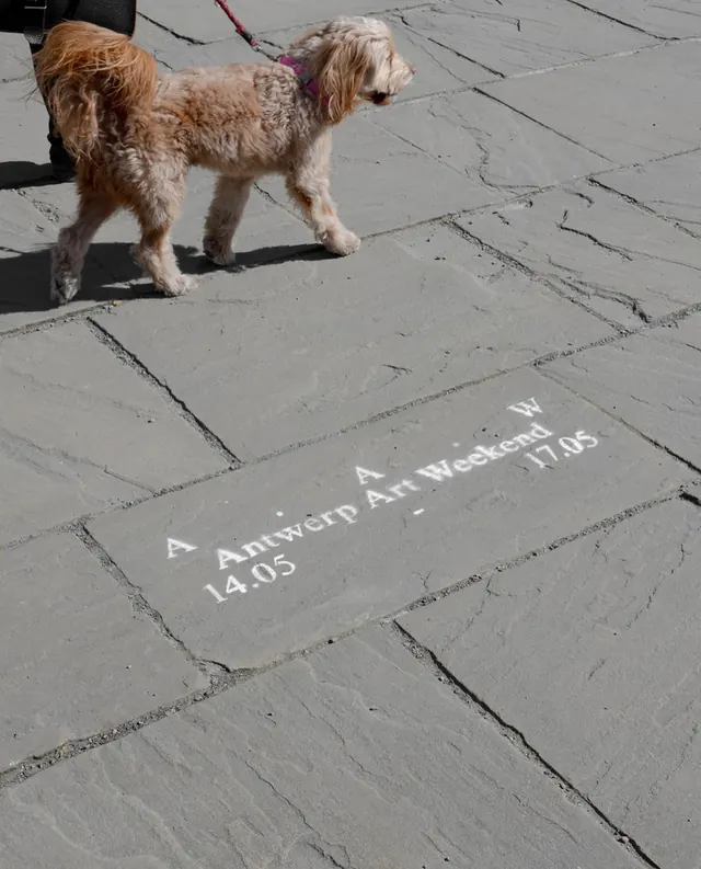 Antwerp Art identity system and materials (slide 15)