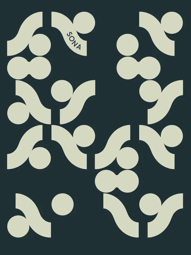 SONA Sauna Social Club brand identity system (slide 15), geometric, playful, vibrant