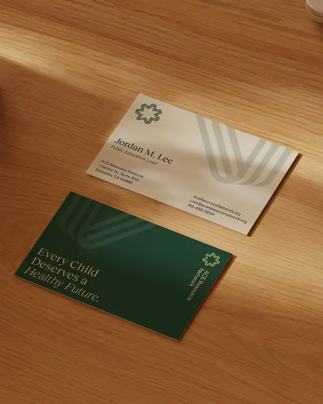 ACE Resource Network brand identity case study (slide 4), corporate-clean, warm