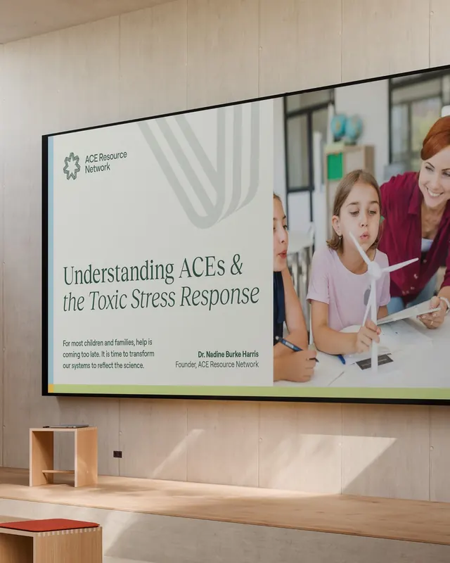 ACE Resource Network brand identity case study (slide 6), corporate-clean, warm