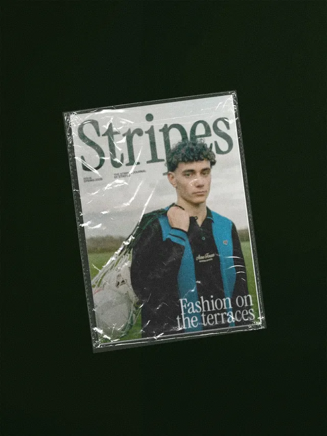 Stripes journal brand identity (slide 2)