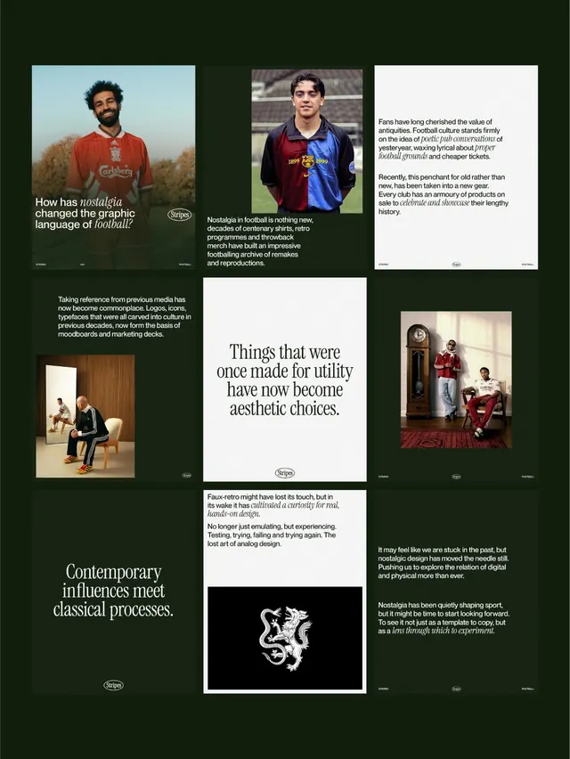 Stripes journal brand identity (slide 3)