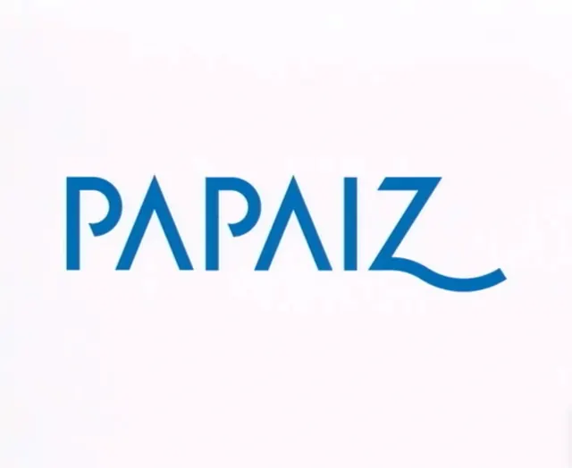 PAPAIZ Wordmark