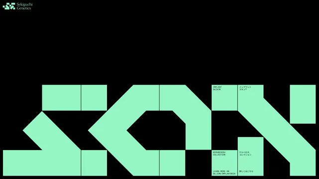 Geometric Wordmark Design, minimal, geometric, dark