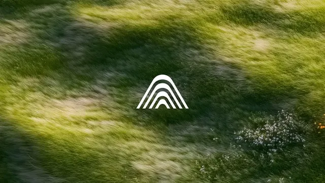 Limra logo, geometric, minimal, light