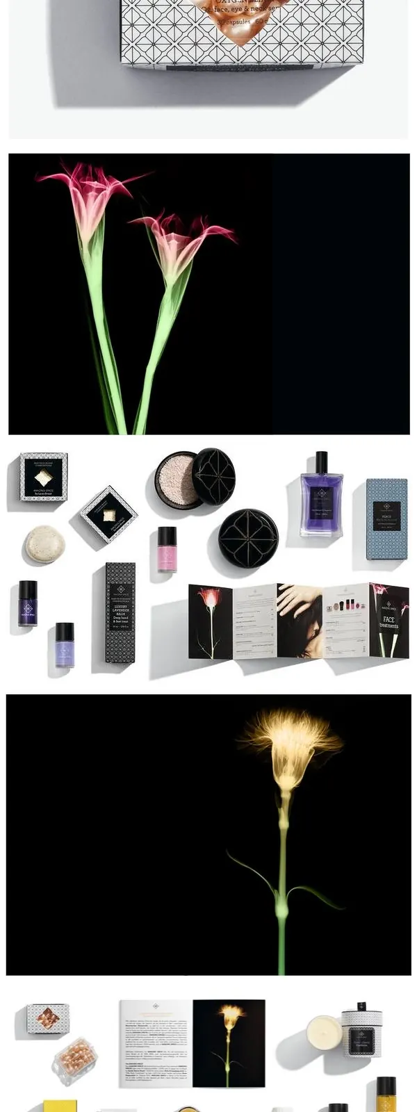 Brand identity and collateral mood board, minimal, monochrome, dark