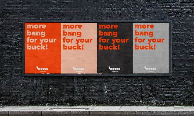 Moose poster series in four brand colourways, typographic, playful, vibrant