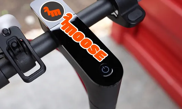 Moose stickers applied to a scooter stem, photographic, playful, warm