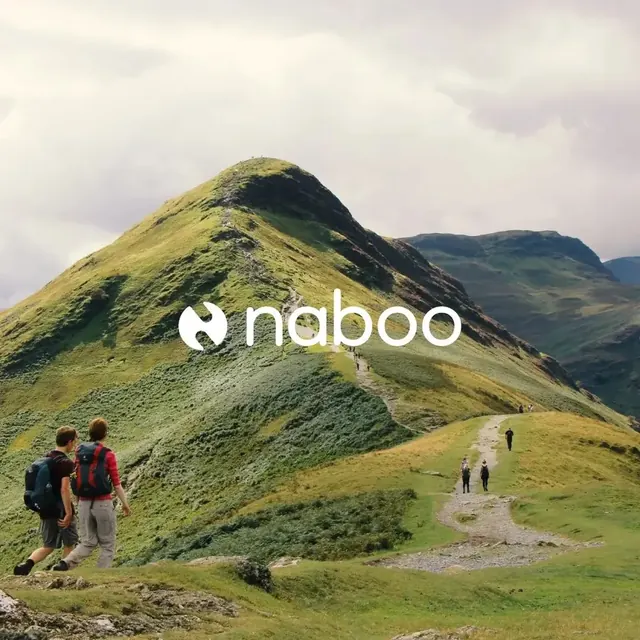 Naboo logo, minimal, geometric, light