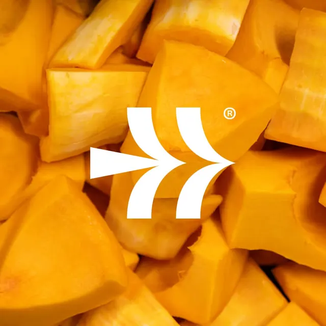 Natural Innovations mark knocked out over squash, photographic, geometric, warm