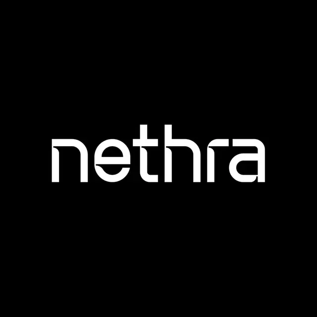 Nethra logo, geometric, minimal, light