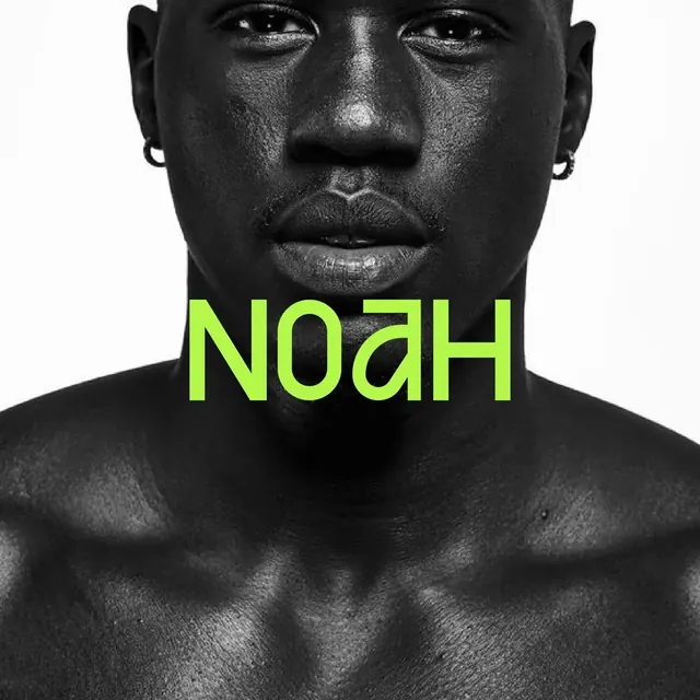 Noah logo, geometric, cool