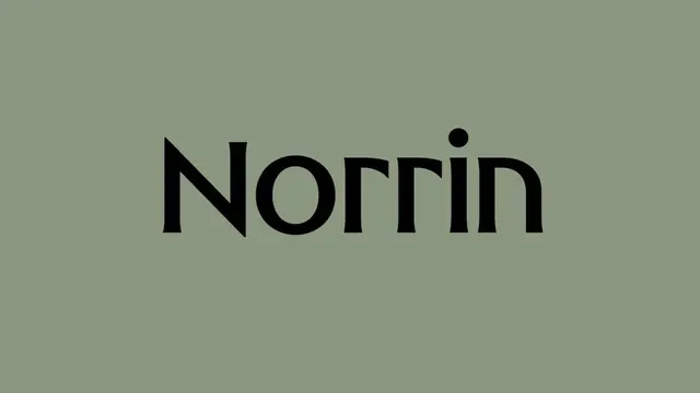 Norrin logo, geometric, minimal, dark
