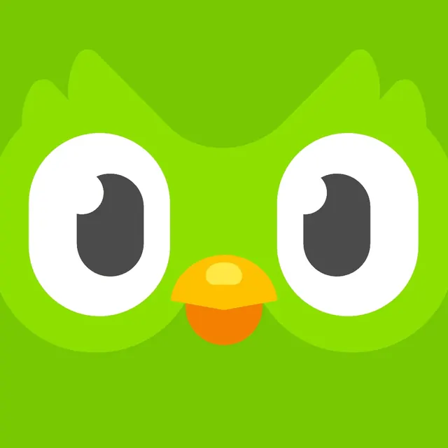 Duolingo, geometric, minimal, vibrant