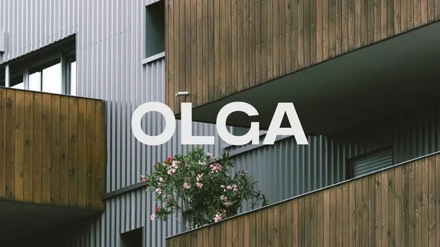 OLGA logo, geometric, minimal, light