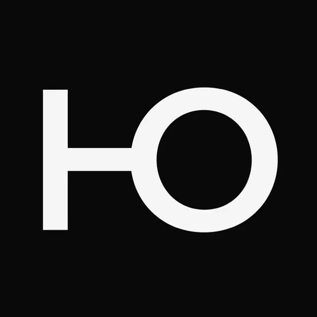 Monochrome Geometric Logo