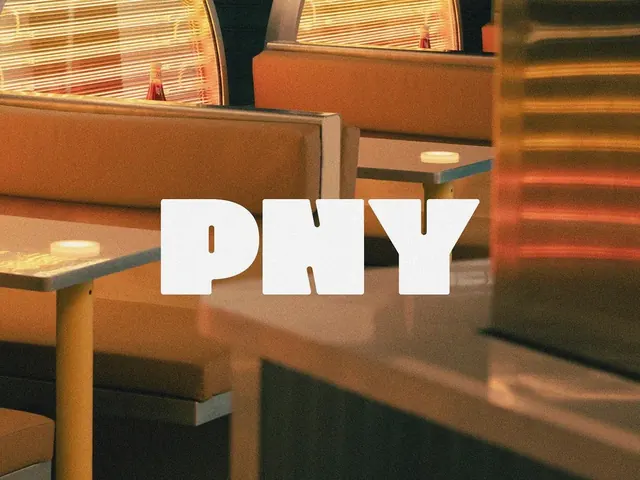 PNY logo, geometric, minimal, light
