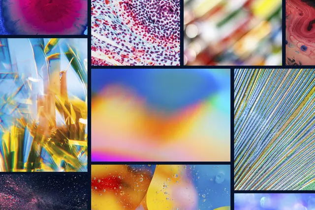 Project What If macro photography image wall, photographic, abstract, vibrant