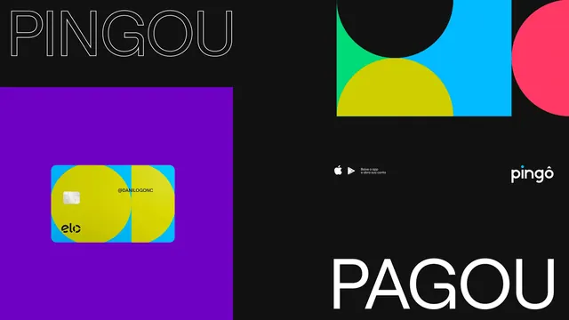 Pingo brand identity with geometric circles and vibrant palette, geometric, playful, vibrant