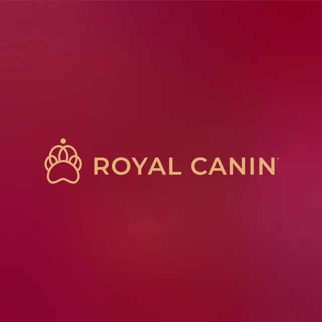 Royal Canin logo, geometric, minimal, warm