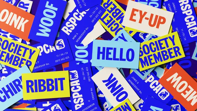 RSPCA membership cards with animal-sound greetings, typographic, playful, vibrant