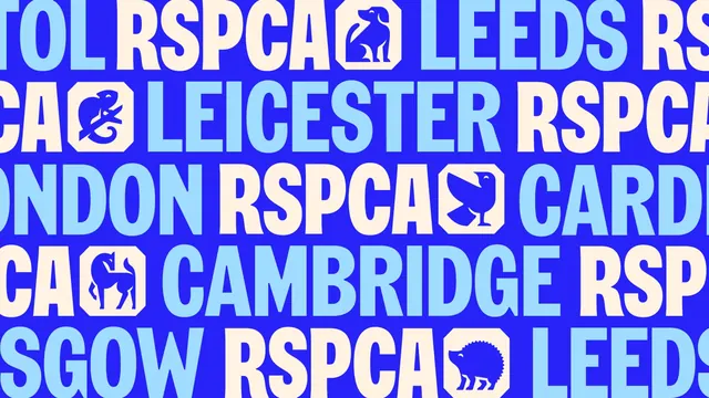 RSPCA branch-name typographic pattern with animal marks, typographic, geometric, vibrant