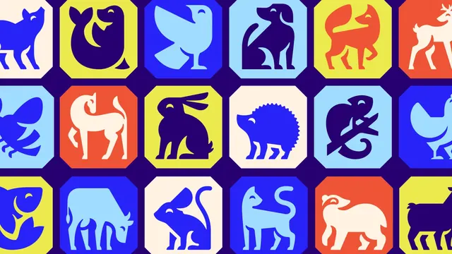 RSPCA octagonal animal icon grid, geometric, flat, vibrant