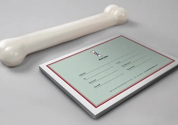 Bark Slope Salon gift certificates, playful, minimal, muted
