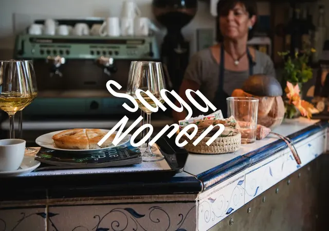 Saga Noren logo, luxury, light