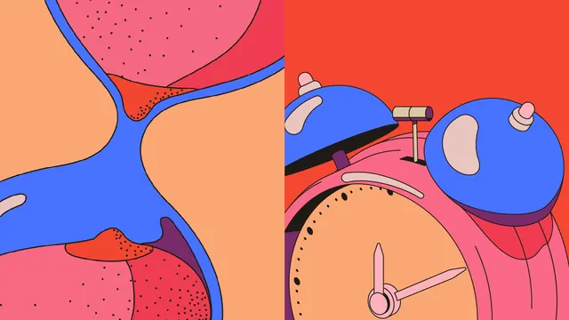 Shell win illustration crops in blue, pink and coral, illustrated, line-art, vibrant