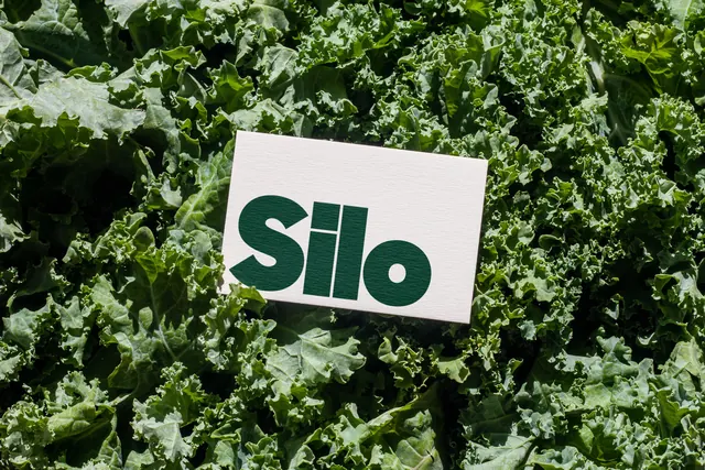 Silo wordmark on a card resting in kale, minimal, photographic, earthy