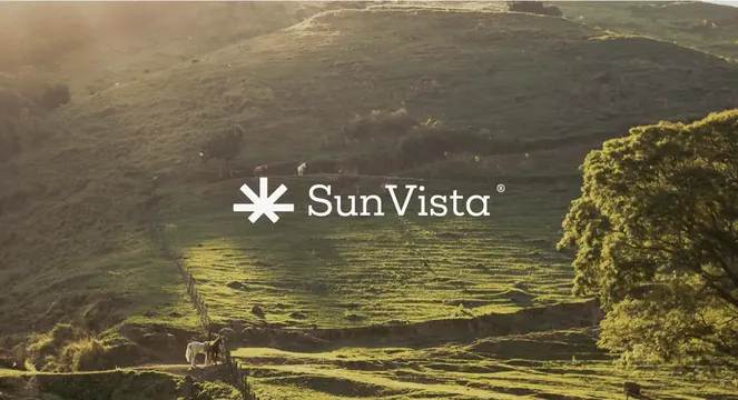 SunVista logo, geometric, minimal, light