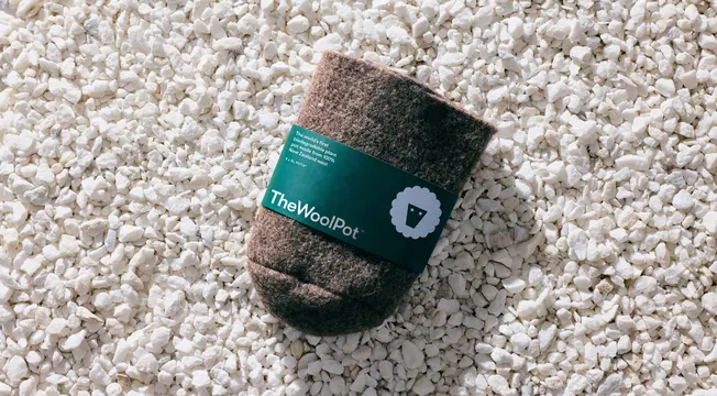 The Wool Pot felted plant pot with green belly band, minimal, photographic, earthy