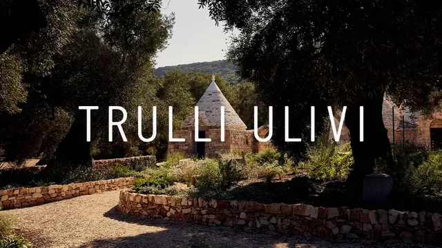 Trulli Ulivi logo, minimal, geometric, light