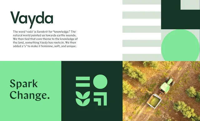 Vayda identity overview panel, geometric, minimal, light
