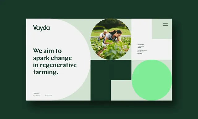 Vayda website homepage on a dark green ground, geometric, minimal, dark