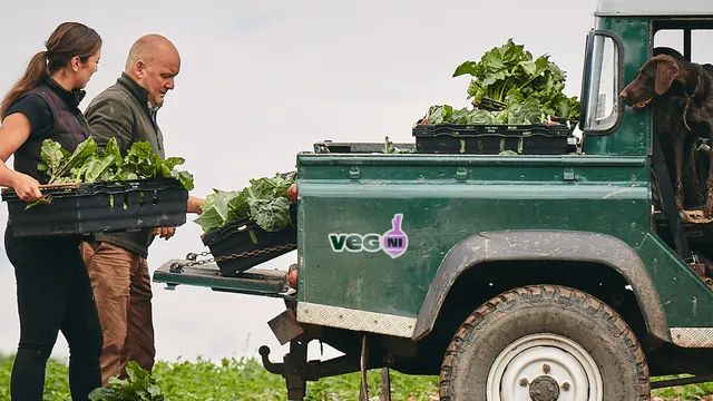 Veg NI harvest loading photograph with centred logo, photographic, minimal, muted