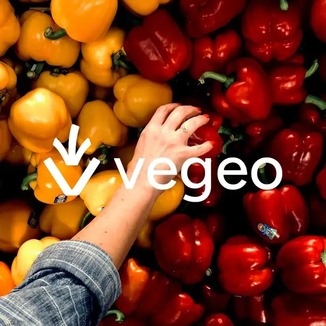 Vegeo logo, geometric, minimal, light