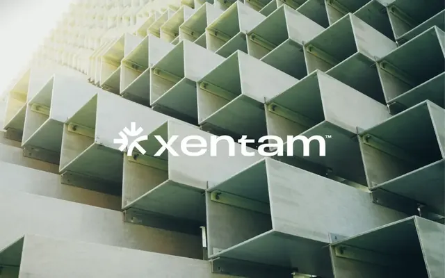 Xentam logo, geometric, minimal, light