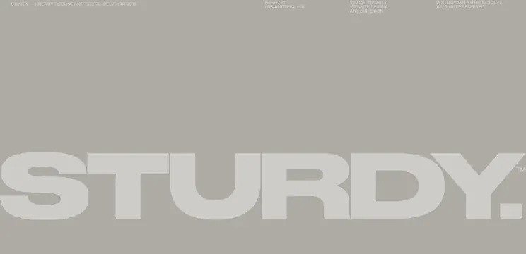 STURDY typography display, minimal, monochrome, muted
