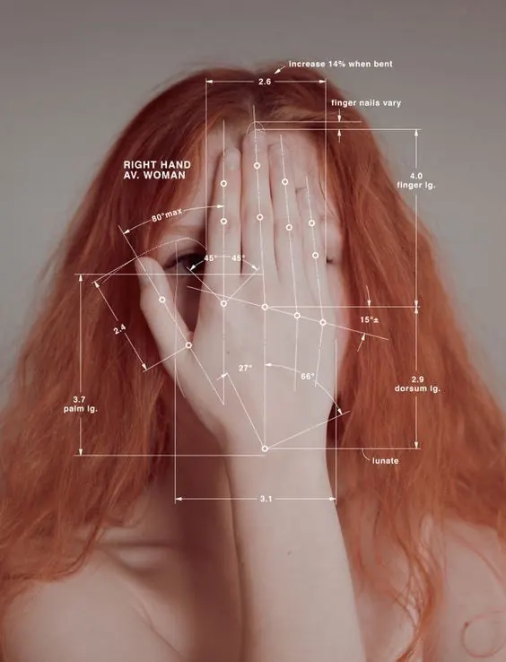 Hand anatomy measurement diagram, technical, data-dense, warm