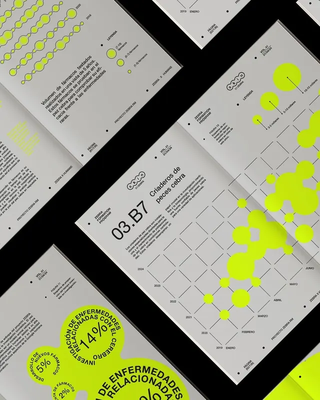 Minimal data-dense identity system, minimal, data-dense, dark
