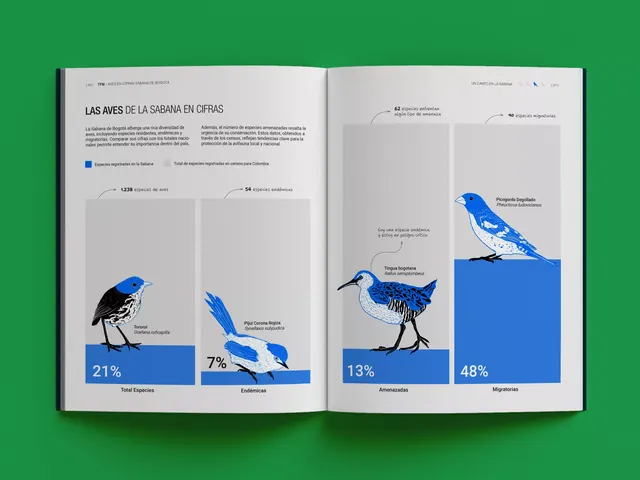 Infographic minimal infographic, infographic, minimal, light
