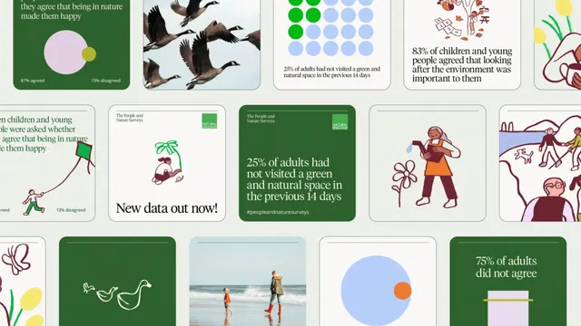 Infographic data-dense infographic, infographic, data-dense, light