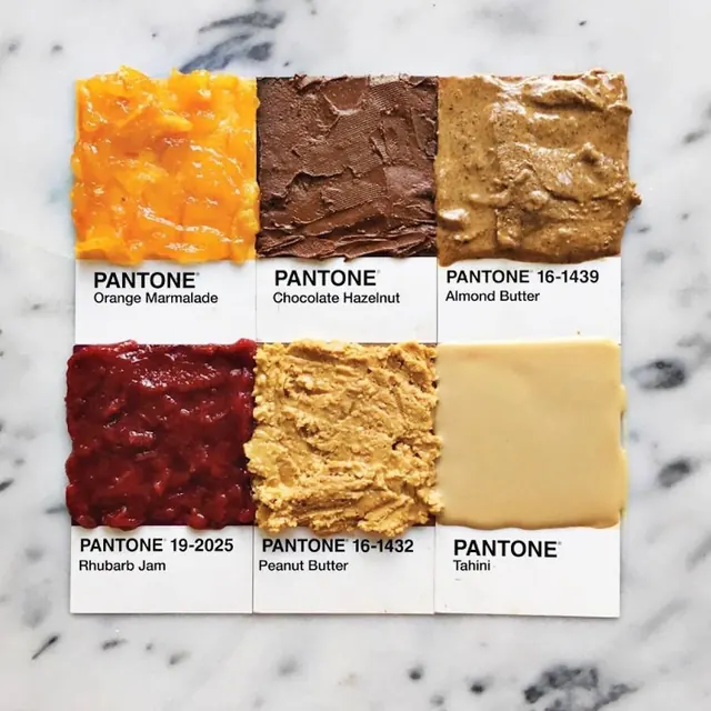 Pantone Food Color Swatches
