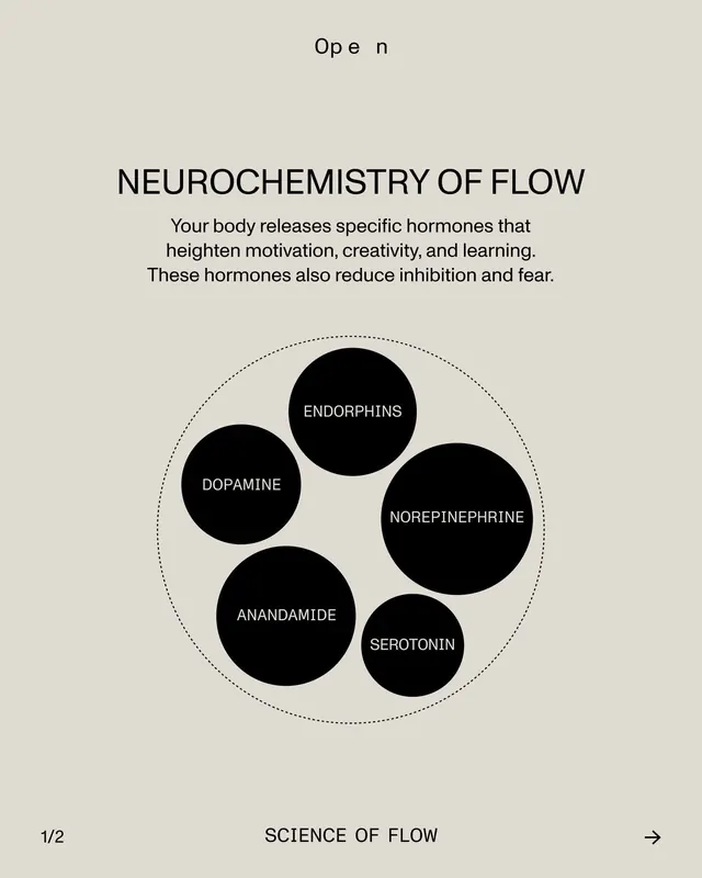Minimal infographic infographic, minimal, infographic, dark