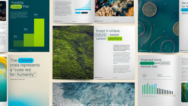 Infographic corporate-clean infographic, infographic, corporate-clean, light