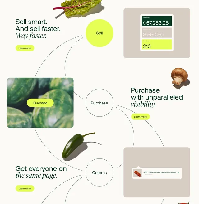 Infographic minimal infographic, infographic, minimal, light