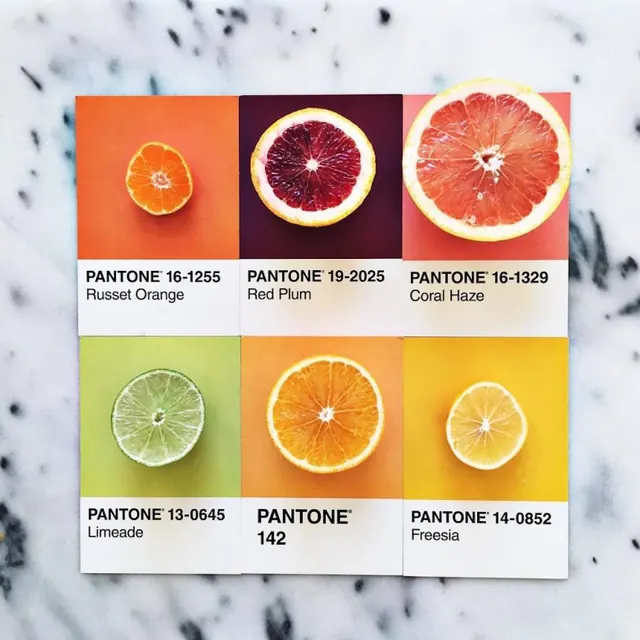 Pantone citrus color palette grid, minimalist, photographic, vibrant