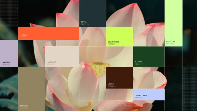 Amphico color palette grid overlay, photographic, data-dense, warm